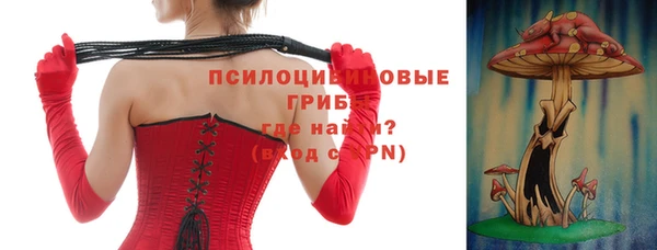 альфа пвп Краснослободск