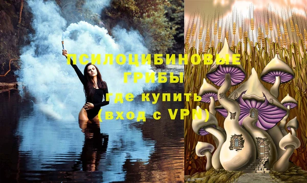 дмт Краснотурьинск