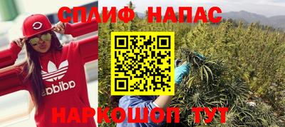 прущие грибы Абинск