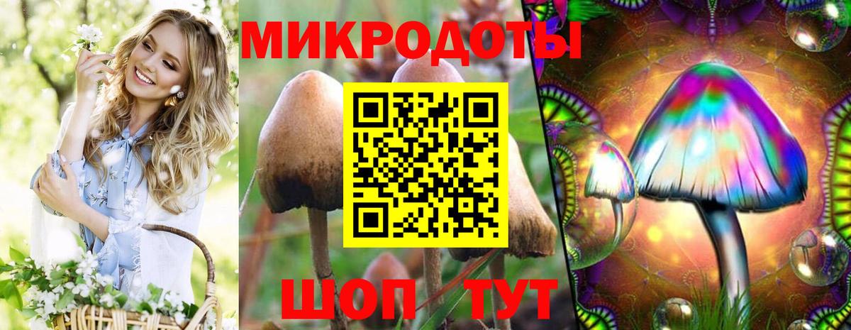 Златоуст  Псилоцибиновые грибы ЛСД  Вход с VPN 
